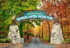 the entrance to wood canyon nature park in autumn time with trees and leaves on the ground