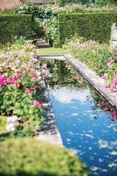 the garden is full of flowers and plants with water running through it's center