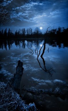 a black and white photo of the moon setting over a body of water with dead trees