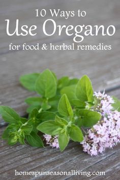 oregano flowers and leaves with text overlay that reads 10 ways to use oregano for food & herb remedies