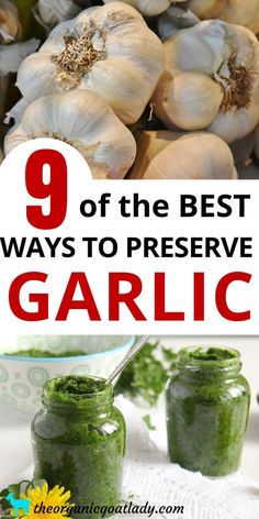 garlic in jars with the words 9 of the best ways to preserve garlic on top