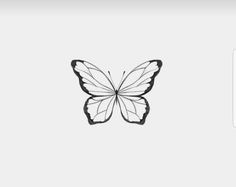 a black and white image of a butterfly