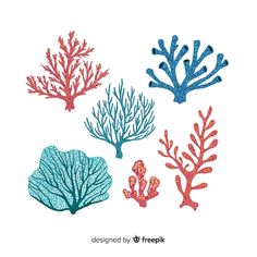 four different colored corals and seaweed on a white background with the words, design by