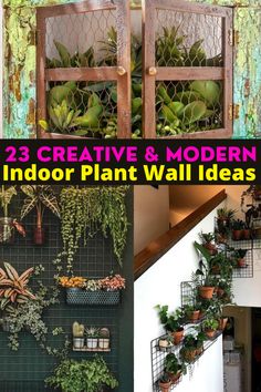 some plants that are hanging on the wall and in front of a door with text overlay