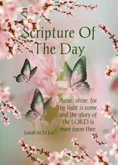 a card with pink flowers and butterflies in the center, on a blue background that says, scripture of the day verse, shine for thy light is come and the story of the lord