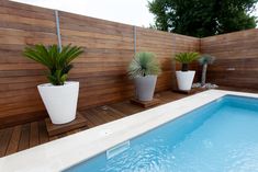 a swimming pool with two planters next to it and a wooden fence in the background