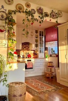 a kitchen with lots of plants hanging from the ceiling