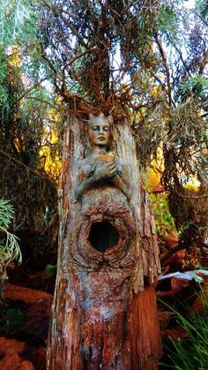 a tree stump with a face carved into it