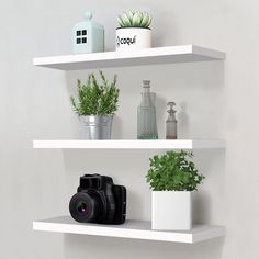 three white shelves with plants and cameras on them, one is open to the camera