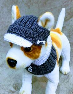 a small dog wearing a knitted hat and scarf