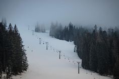 a snow covered ski slope with trees on the side and fog in the air behind it