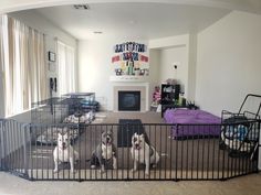 three dogs are sitting in their kennels at the living room's entrance