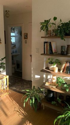 a living room filled with lots of plants on top of shelves next to a doorway