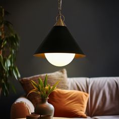 a lamp hanging over a table next to a potted plant on a coffee table