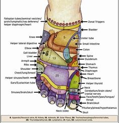 Reflexology Techniques, Shoulder Problem, Back Pain Remedies