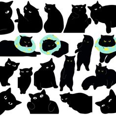 the silhouettes of cats are shown in various poses and positions, including one black cat