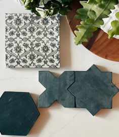 two hexagonal tiles sitting on top of a table next to a potted plant