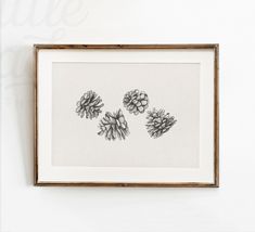 three pine cones are placed on the wall above a framed artwork piece, which is hanging in a wood frame