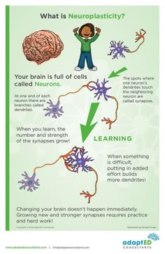 the brain and its functions are depicted in this poster, which includes information on how to use