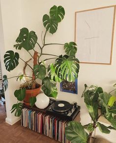 there is a record player on the table next to some plants and potted plants