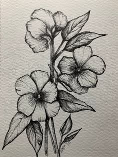 a black and white drawing of some flowers