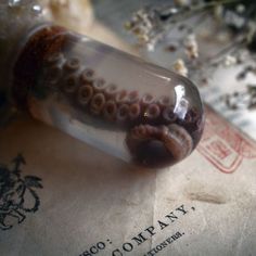 an octopus in a bottle sitting on top of a piece of paper