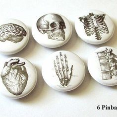 Heart Skull, Skull Anatomy, Minimalist Halloween, Skull Hand, Anatomical Heart, Medical Science, Halloween Home Decor, Cool Stuff, Refrigerator Magnets