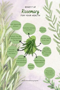 the benefits of rosemary for your health