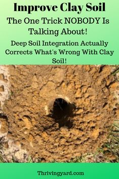 an image of a hole in the ground with text that reads improve clay soil, the one trick nobody is talking about