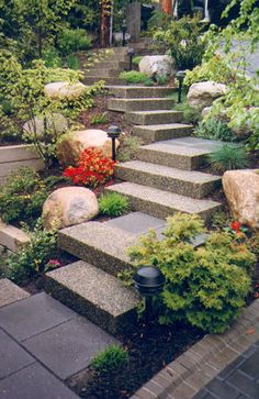 the steps lead up to an outdoor garden