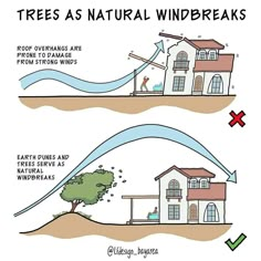 two diagrams showing the different types of windbreaks and how they are used to protect them