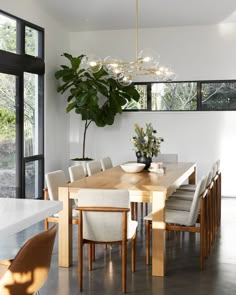 a dining room table with chairs and a potted plant in the middle of it