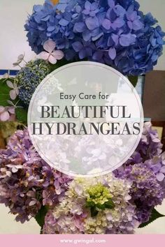 the words easy care for beautiful hydrangeas in front of purple and green flowers