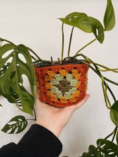 a hand holding a small crocheted pot holder with plants in the back ground