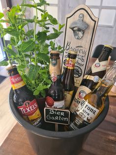 a potted plant with beer bottles in it