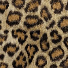 an animal print pattern is shown in brown and black