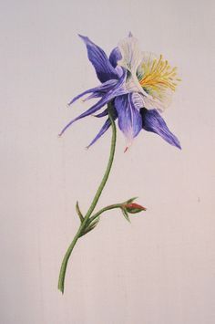 a painting of a purple flower on a white background