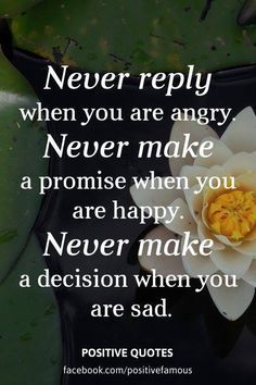 a white flower sitting on top of a green leaf covered waterlily pond with a quote about never repry when you are angry, never make a promise when you are happy