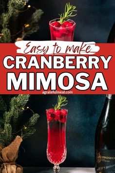 cranberry mimosa cocktail in front of a christmas tree with the title easy to make cranberry mimosa