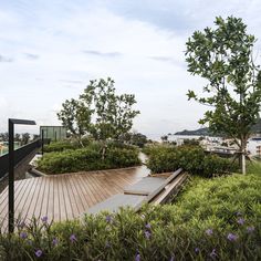 a wooden deck surrounded by bushes and trees