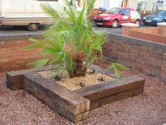 a potted palm tree sitting in a wooden planter on top of gravel next to a brick wall