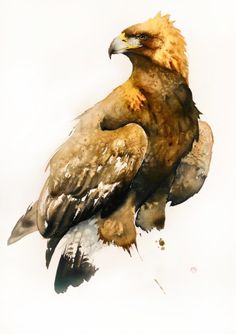 a painting of an eagle sitting on top of a tree branch in front of a white background