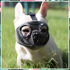 JYHY Short Snout Dog Muzzles- Adjustable Breathable Mesh Bulldog Muzzle for Biting Chewing Barking Training Dog Mask,Grey(Eye Pet Muzzles, Short Dog, Dog Mask, Dog Muzzle, Bulldog Francese, Dog Biting, Dog Eyes, Dog Training Obedience, Quick Release Buckle