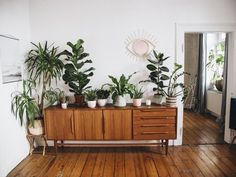 some plants are sitting on top of a dresser