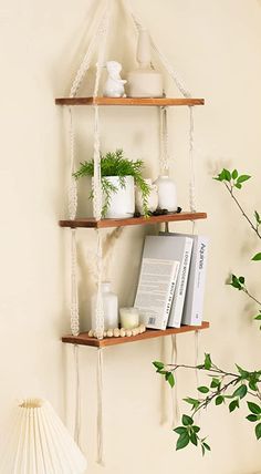 a shelf that has some books on it and plants in the bottom right hand corner