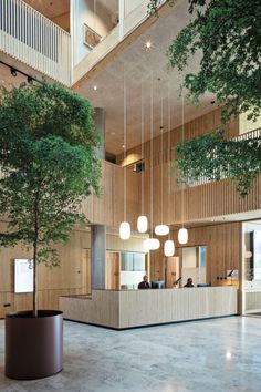 an office lobby with two tall trees in the center