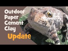 a frog sitting on top of a leaf next to the words outdoor paper cement clay update