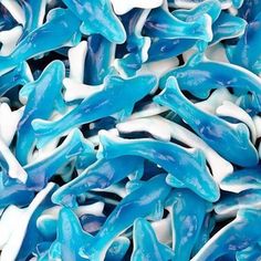 many blue and white fish are gathered together