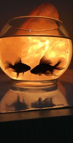 two goldfish in a bowl with water and light reflecting off the side, on top of a table