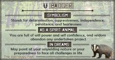 an animal with the words badger on it's face and in front of trees